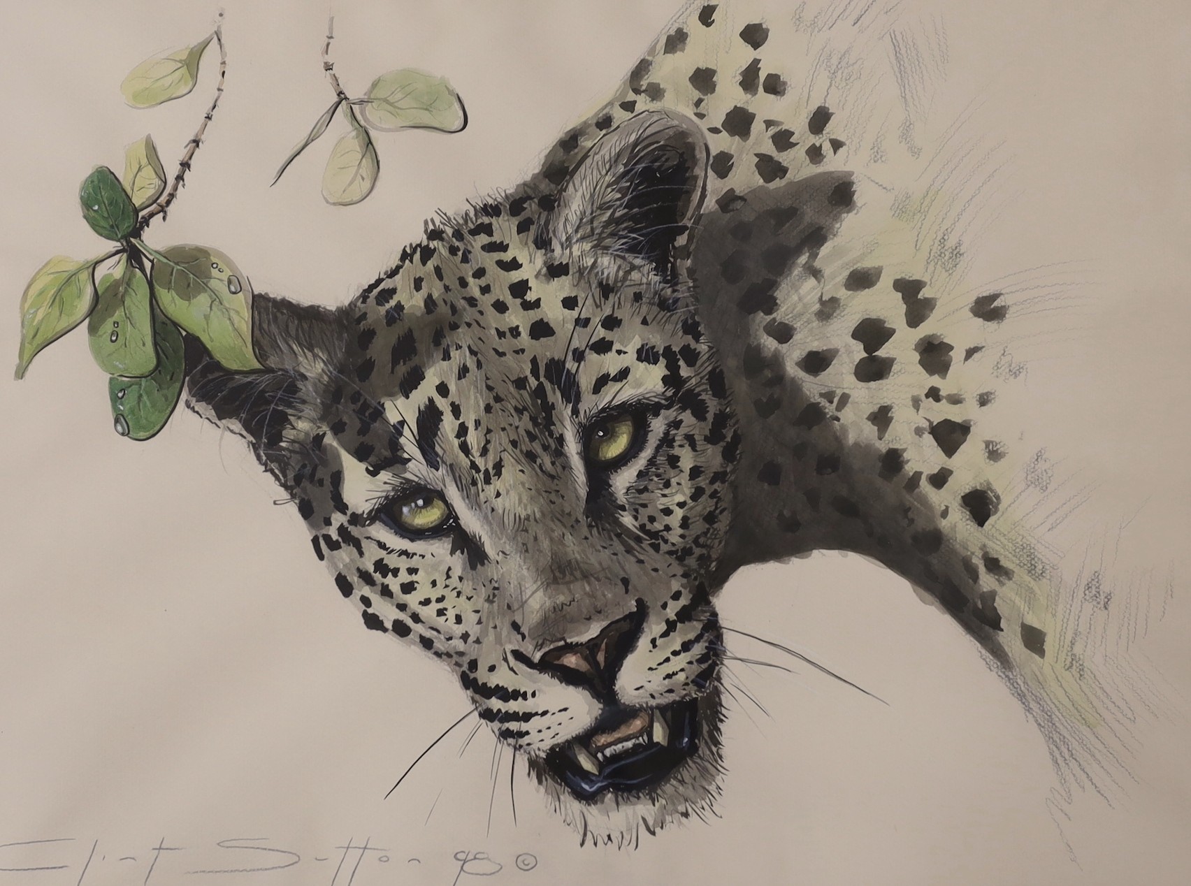 Clint Sutton, contemporary, two watercolours, Jaguar and Lynx, both signed and dated ‘90, largest 59 x 44cm